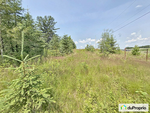 165 000$ - Terrain résidentiel à vendre à Degelis dans Terrains à vendre  à Edmundston - Image 3