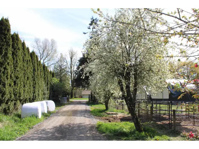 28927 BUCHANAN AVENUE Abbotsford, British Columbia in Land for Sale in Abbotsford - Image 8