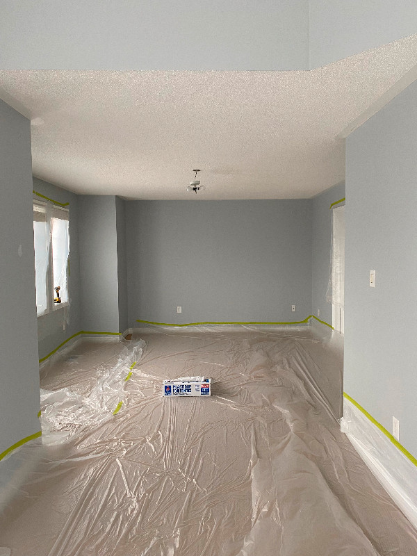 DRYWALL TAPING & PAINTING. Free Estimate in Drywall & Stucco Removal in Mississauga / Peel Region - Image 4
