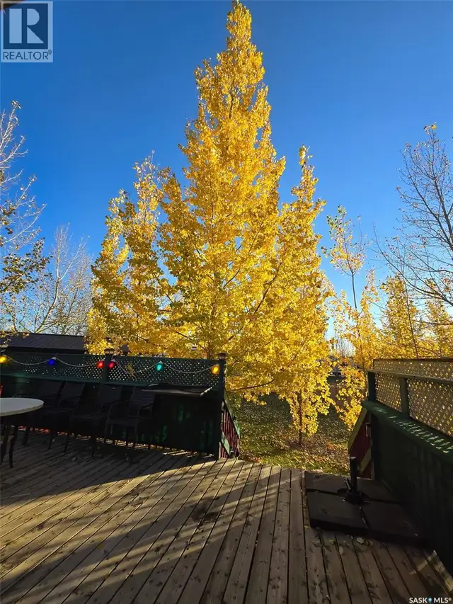 507 RV DRIVE Loreburn Rm No. 254, Saskatchewan in Houses for Sale in Moose Jaw - Image 24