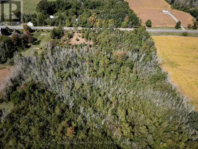 00 PALACE ROAD Greater Napanee (Greater Napanee), Ontario in Land for Sale in Napanee - Image 25