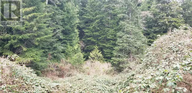 Lot 17 Haggard Cove Port Alberni, British Columbia628637706200351222
