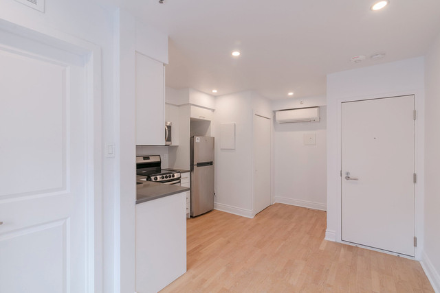 renovated studio apartment near blvd Saint-Larent - ID 1617 dans Locations longue durée  à Ville de Montréal - Image 4