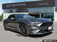 *2019 Ford Mustang EcoBoost Premium Convertible | Automatic | Turbocharged | Low KM* Iconic design m... (image 6)