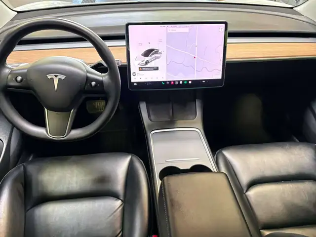 2021 Tesla Model 3 Standard Range Plus559731744535357446