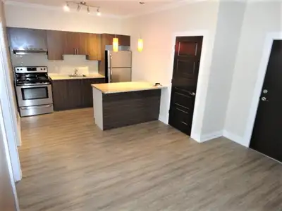 LIVE IN STYLE in this NEWLY RENOVATED 2 Bedroom Apartment! You will love the high ceilings throughou...