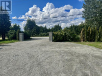 17382 FORD DETOUR ROAD Pitt Meadows, British Columbia