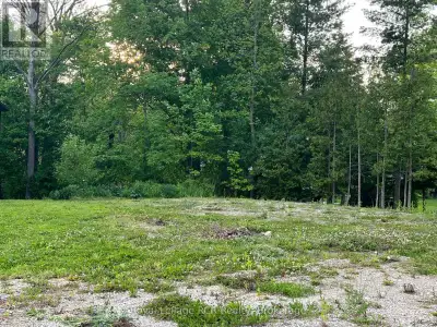 Discover the perfect opportunity to build your dream home on this surprisingly spacious, uniquely sh...