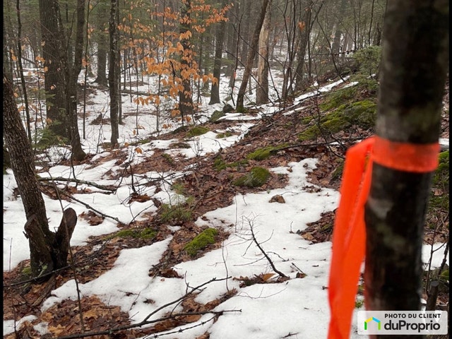 $995,000 - Residential Lot for sale in Ste-Mélanie — photo 1