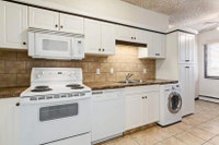 Amenities: In-suite Laundry Available • Affordable Parking • Spacious Rooms Suite & Building: Bachel... (image 3)