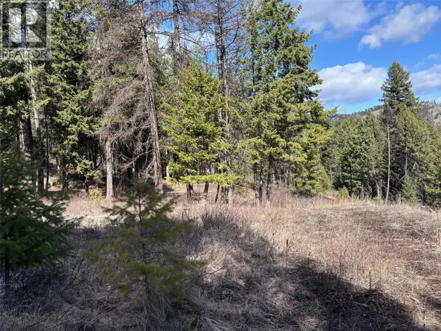 Lot 3 Hulme Creek Road Rock Creek, British Columbia in Land for Sale in Penticton - Image 4