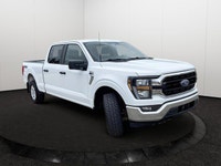 This Ford F-150 has a powerful Regular Unleaded V8 5.0 L engine powering this Automatic transmission... (image 7)