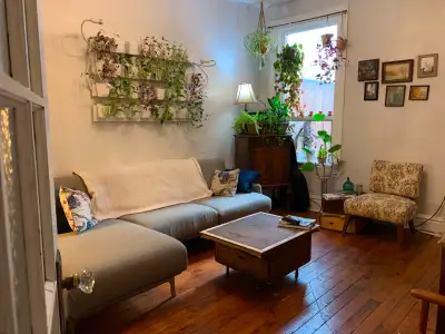 1 Room for rent in large Victorian house