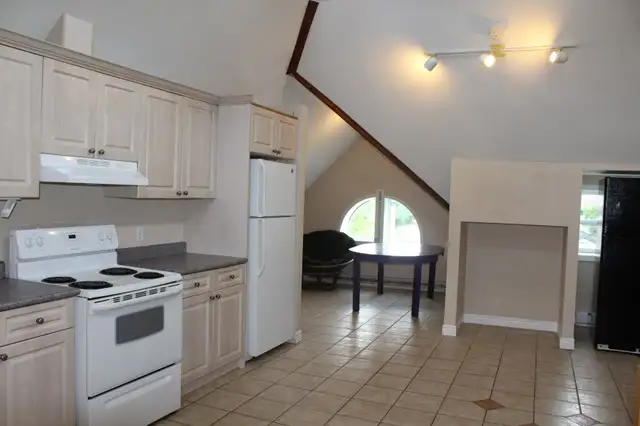 62 DORSET ST - STUDENT RENTALS AVAILABLE in Room Rentals & Roommates in Kitchener / Waterloo - Image 23