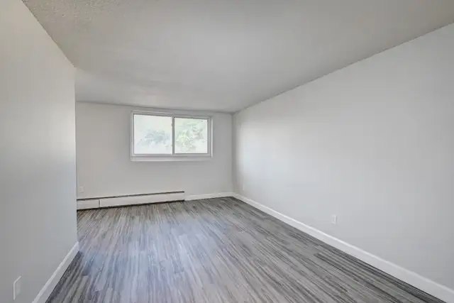 New Hamburg 1 Bedroom Apartment for Rent: in Long Term Rentals in Kitchener / Waterloo - Image 6