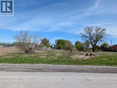 Welcome to 2098 Michigan Line! This expansive corner lot is the perfect site for your custom home, o...