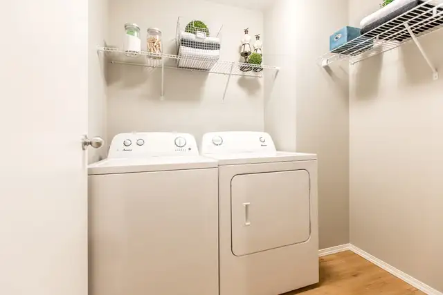 Pet-Friendly One Bedroom One Bath with In-suite Laundry for Rent in Long Term Rentals in Edmonton - Image 16