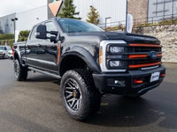 * Harley-Davidson Styling & Branding Throughout * Exclusive Harley-Davidson grille, bumpers, fender... (image 6)
