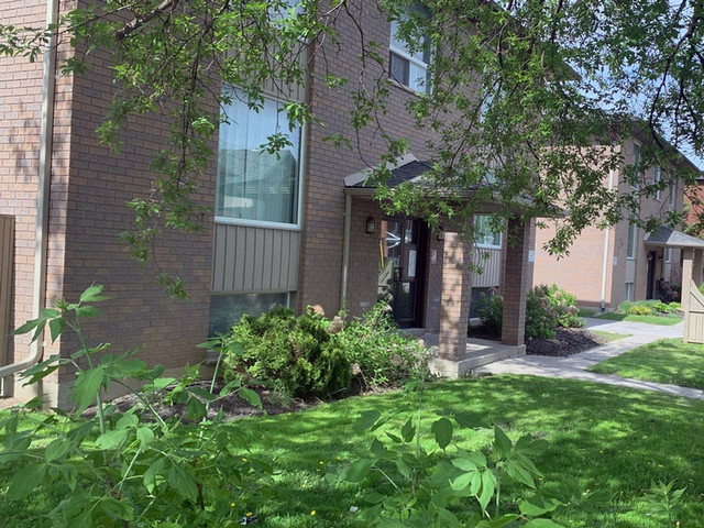 1 bedroom Apartment for Rent - 282 - 288 Romaine St. in Long Term Rentals in Peterborough - Image 4