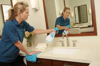 Cleaner, cleaning, House cleaners, Cleaning lady  6477240738, View more