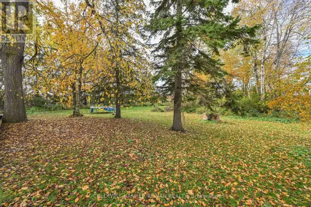 6336 CONCESSION ROAD 7 Adjala-Tosorontio, Ontario in Land for Sale in Oakville / Halton Region - Image 32
