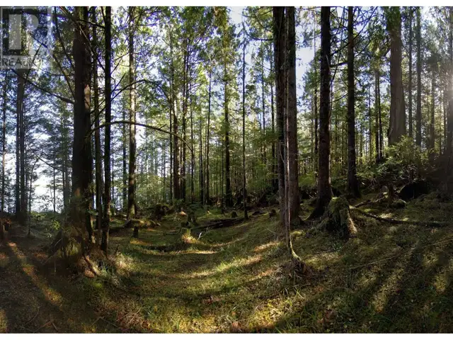 1302 GOBLE POINT Prince Rupert, British Columbia in Land for Sale in Prince Rupert - Image 18