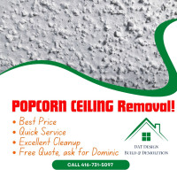 POPCORN CEILING Removal *** Best Price and Quality! ***