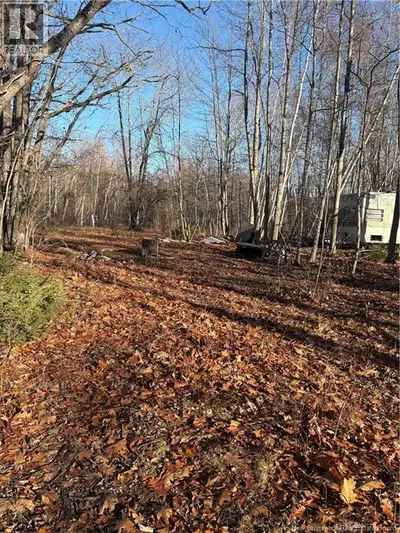 Discover your ideal summer escape with this 0.37-acre lot just steps from Grand Lake. This property...