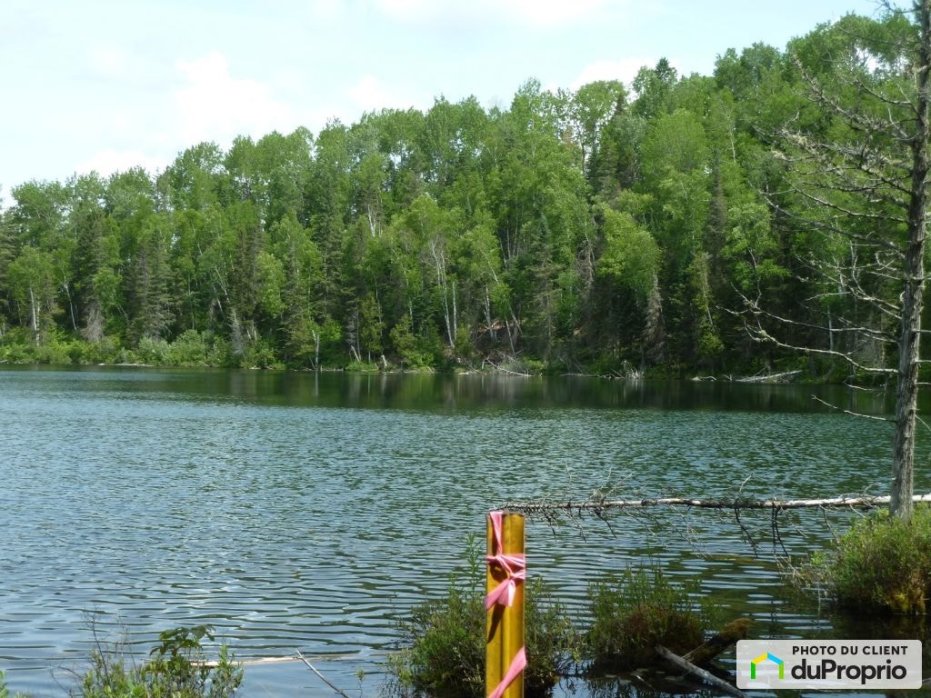 $95,000 - Residential Lot for sale in Chute-St-Philippe — photo 3