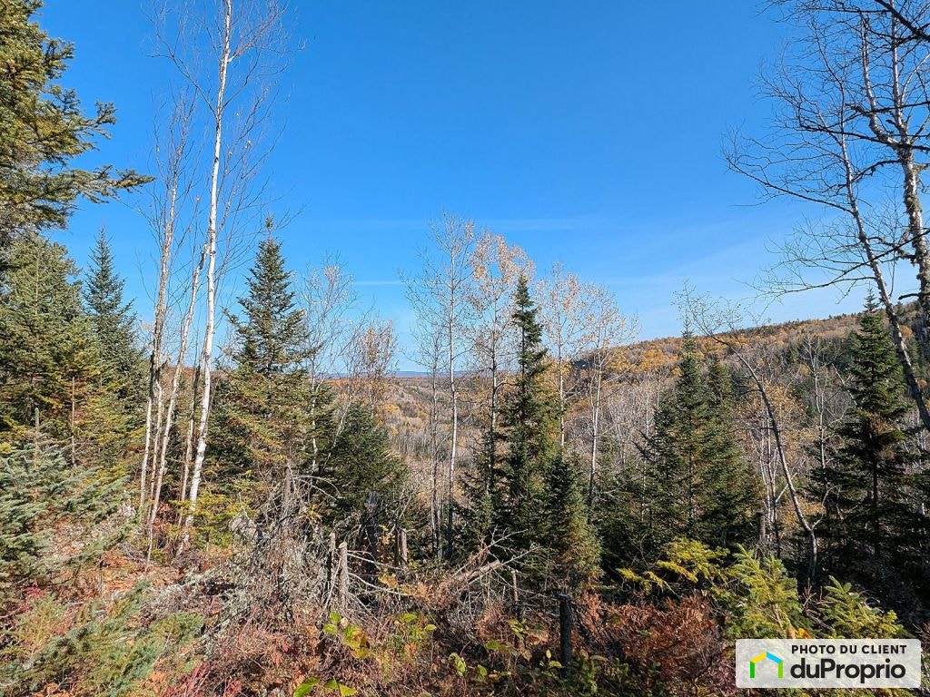 $74,000 - Residential Lot for sale in Baie-St-Paul — photo 1