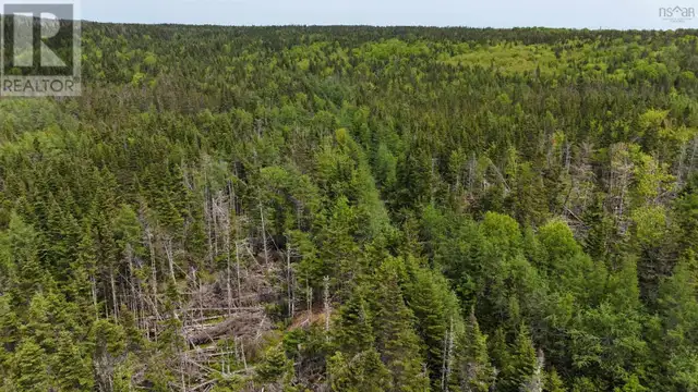 185 acres Oceanview Road French Road, Nova Scotia62863785114242122