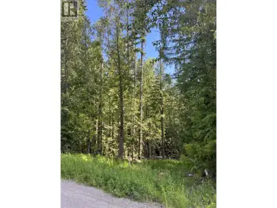 A rare opportunity to secure one of the only residential lots currently available at Fernie Alpine R...