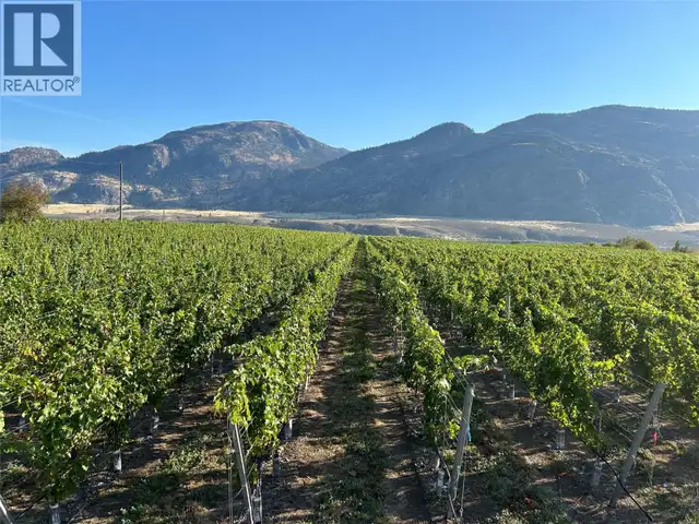 9425 87TH Street Osoyoos, British Columbia in Houses for Sale in Penticton - Image 12