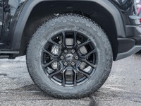Denali Black Edition | 20in Black Wheels | Black Assist Steps | Black Badging | Black Chrome Exhaust... (image 3)