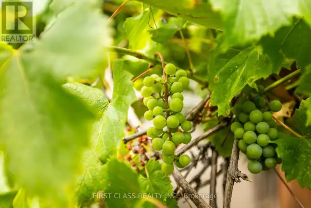 BASEMENT - 802 YATES DRIVE Milton (CO Coates), Ontario in Long Term Rentals in Oakville / Halton Region - Image 14
