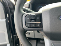 Welcome to Freedom Ford. **WE WILL BEAT ANY FORD DEALER IN THE CITY** The Ford F-Series has been the... (image 9)