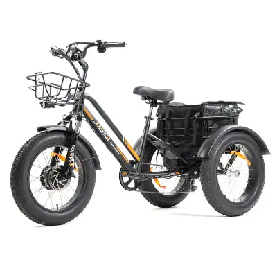 Used electric trikes for sale sale