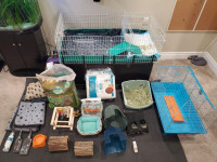 3 guinea pigs plus cages, tests, toys, food etc..
