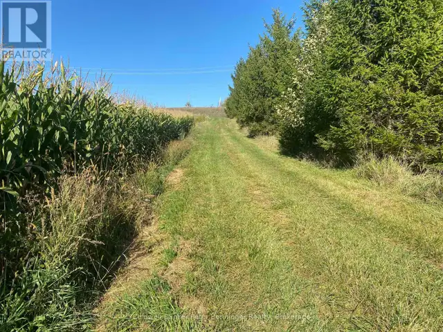 1315 CONCESSION 8 CONCESSION Kincardine, Ontario in Land for Sale in Owen Sound - Image 5