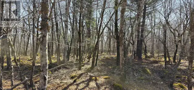 69 Sparkling Spring Lane Labelle, Nova Scotia in Land for Sale in Bridgewater - Image 22