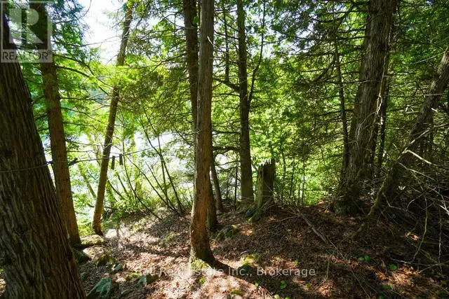 382 OLD DETLOR ROAD Bancroft (Dungannon Ward), Ontario in Land for Sale in Trenton - Image 39