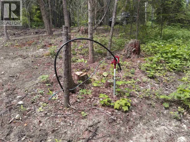 LOT A CANIM-HENDRIX LAKE ROAD Canim Lake, British Columbia in Land for Sale in 100 Mile House - Image 16