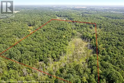 Hunters Paradise 44 Acres of Untouched Wilderness. Tucked away from it all, this secluded 44-acre pa...