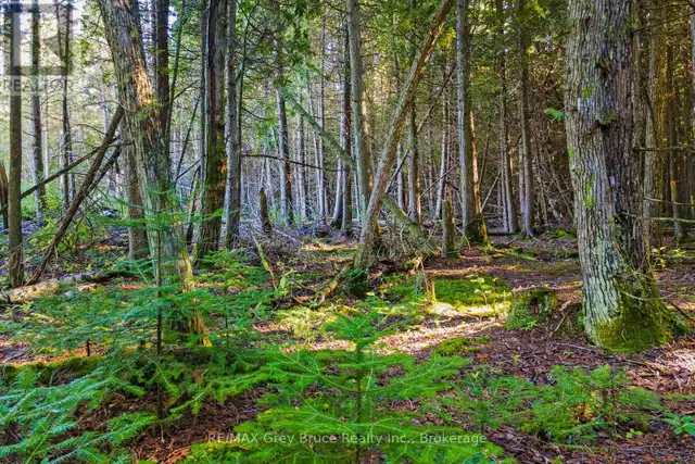 30 HURON PARK ROAD Northern Bruce Peninsula, Ontario in Land for Sale in Owen Sound - Image 34