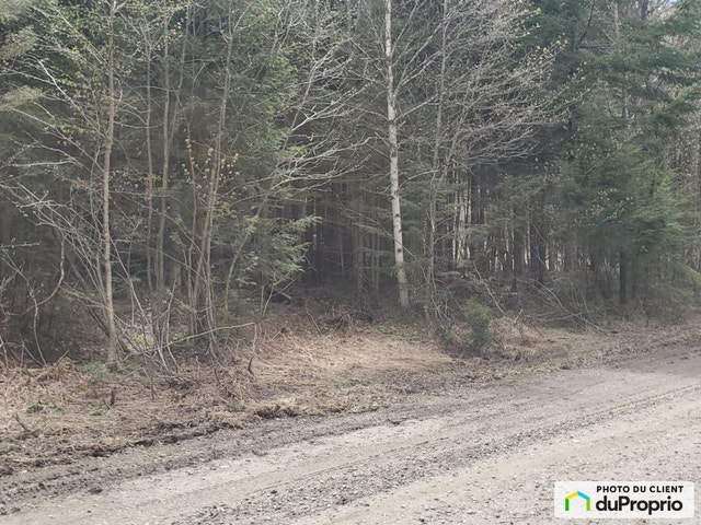 $72,990 - Residential Lot for sale in St-Adolphe-D'Howard — photo 3