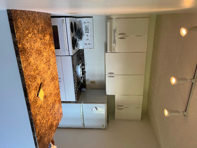 Studio apartment for rent in Nanaimo BC Long Term Rentals Nanaimo