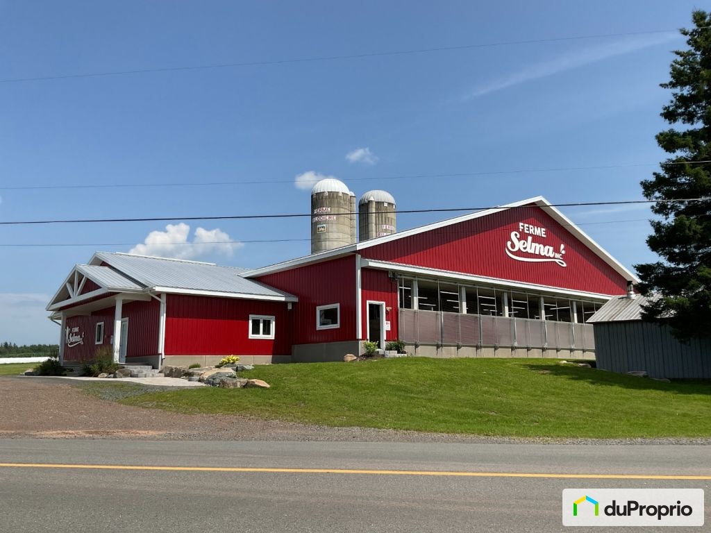 $3,977,170 - Farm for sale in St-Charles-De-Bellechasse — photo 1