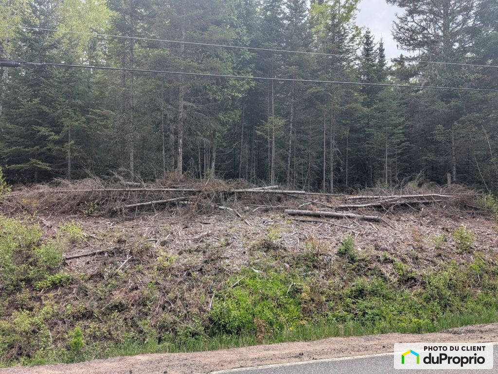 $100,000 - Wood Lot for sale in St-Alexis-Des-Monts — photo 3