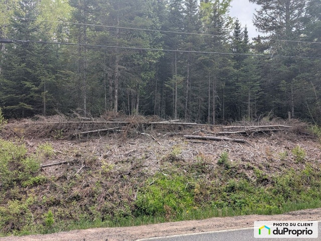 $100,000 - Wood Lot for sale in St-Alexis-Des-Monts — photo 3