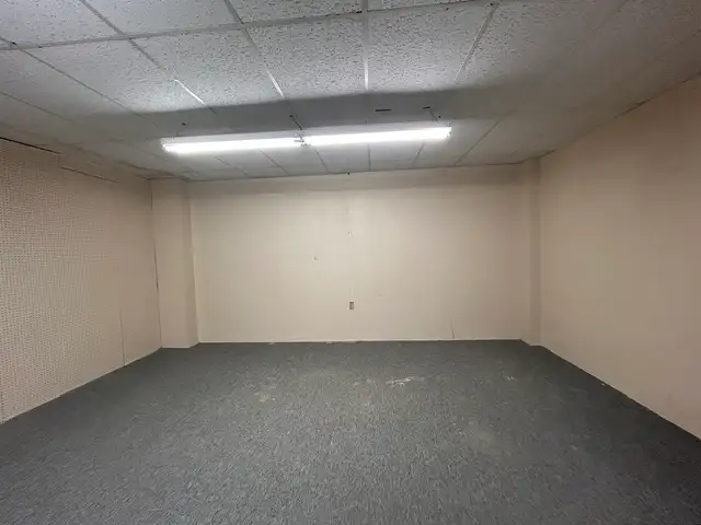 Main Floor Commercial Space with Bonus Basement — Campbellville in Commercial & Office Space for Rent in Oakville / Halton Region - Image 10